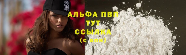 дмт Арсеньев