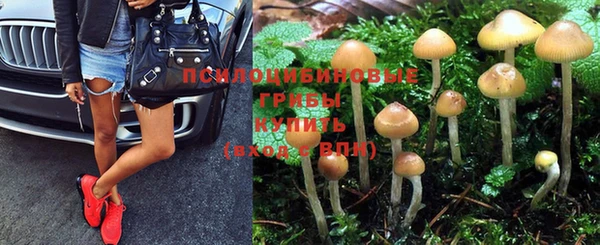 кокс Алексеевка