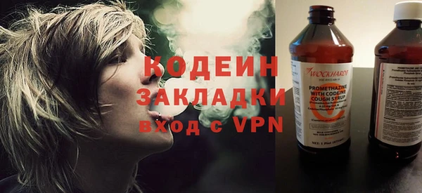 шишки Алзамай