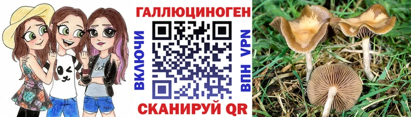 Псилоцибиновые грибы Cubensis  что такое наркотик  Кологрив 